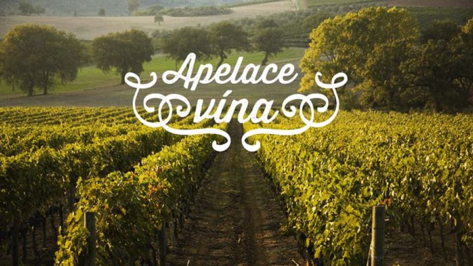 Apelace vína