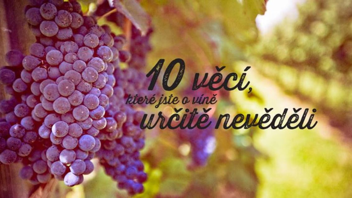 10 věcí, které jste o víně určitě nevěděli