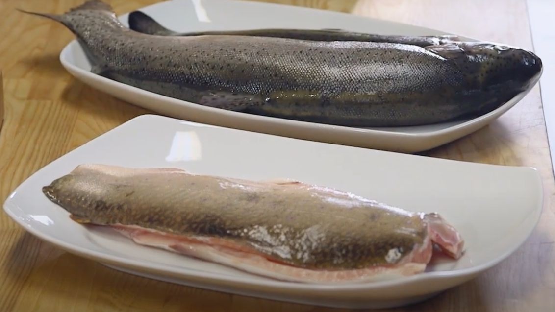 Jak poznáme, že je ryba čerstvá?