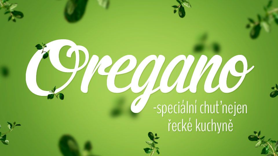 Oregano – speciální chuť nejen řecké kuchyně