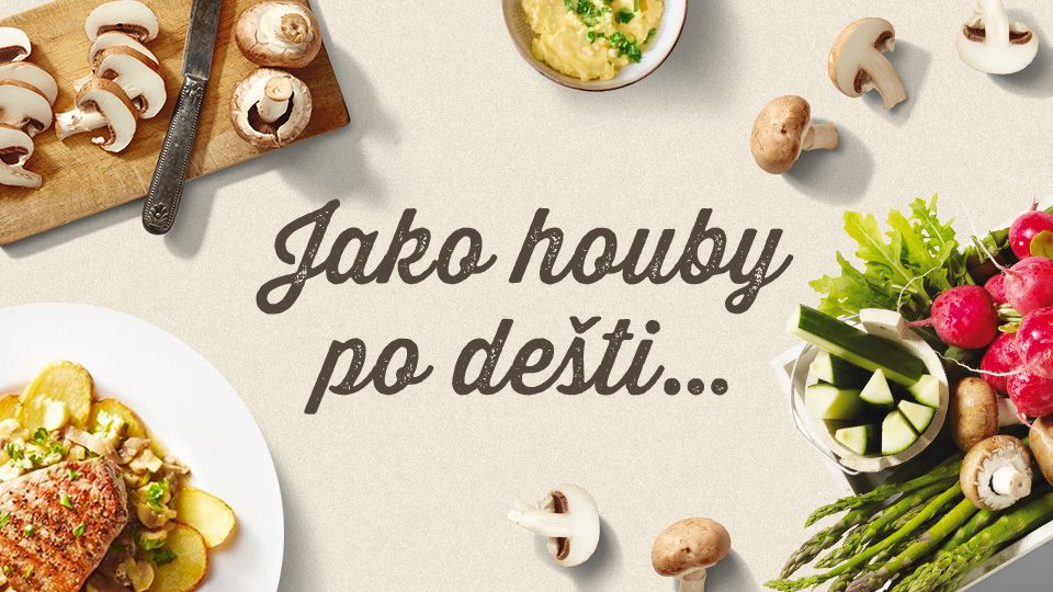 Jako houby po dešti…