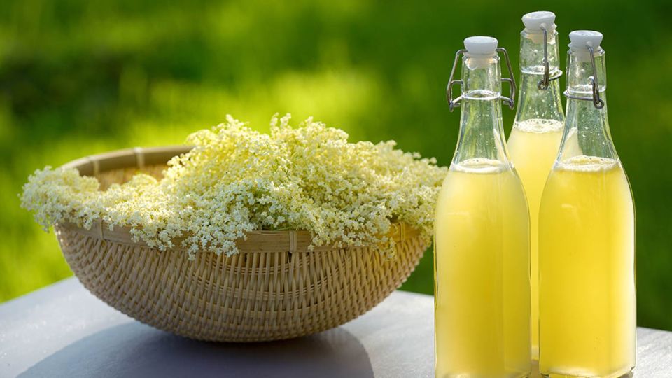 Bezový sirup