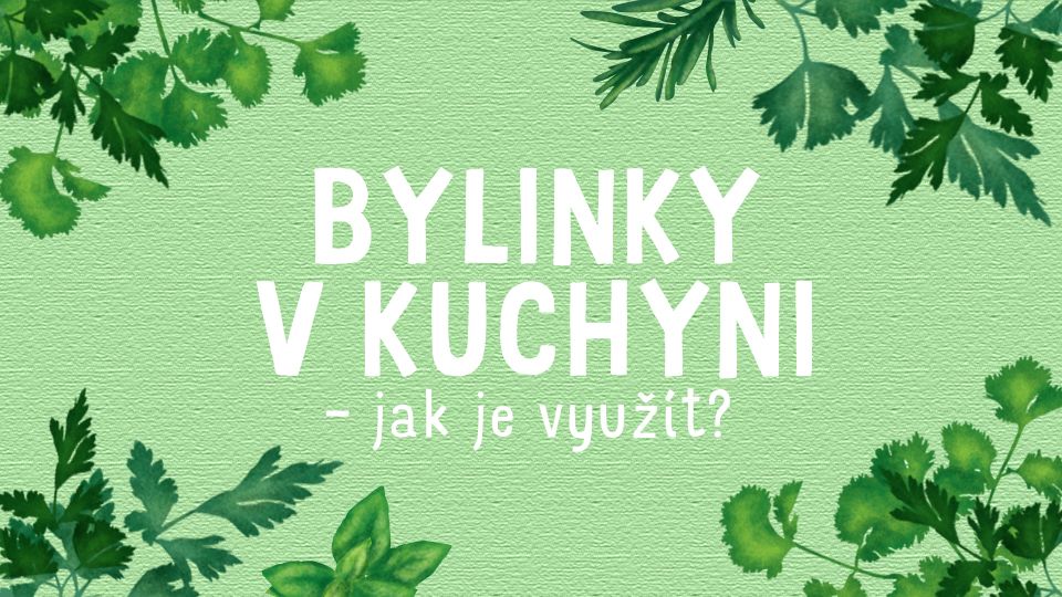 Bylinky v kuchyni – jak je využít?