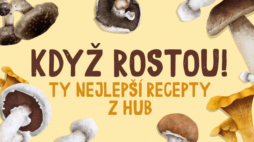 Když rostou! Ty nejlepší recepty z hub