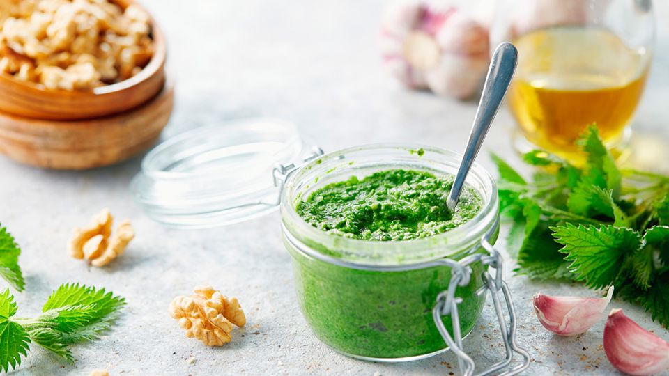 Kopřivové pesto