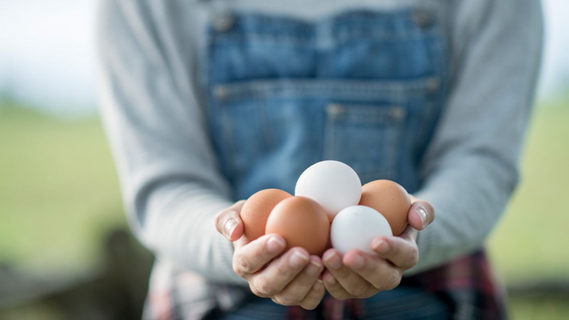 Spižírna: Jak skladovat vejce