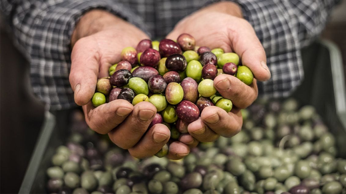 Olivy nejsou kalorické a přitom zasytí – do letní kuchyně ideální!