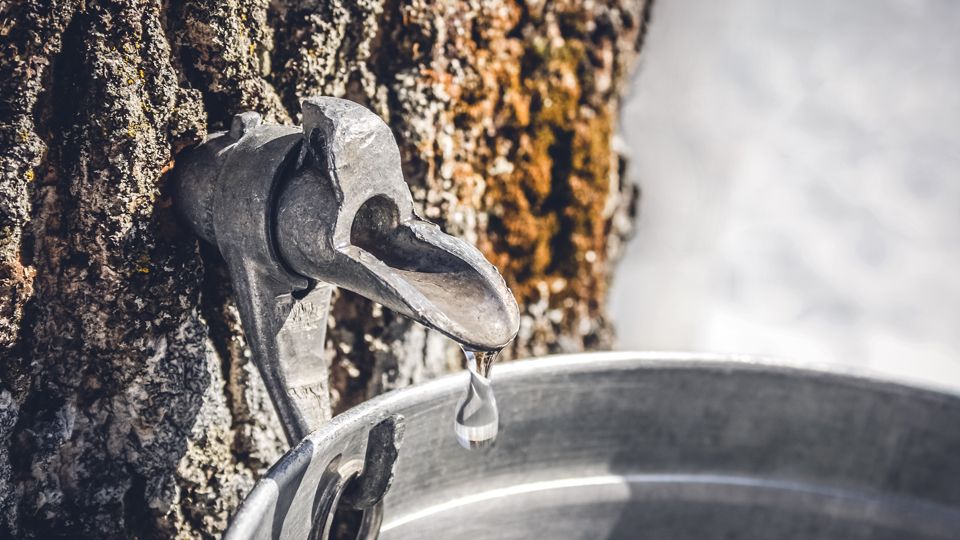 Vyzkoušejte tohle: javorový sirup nepatří jen do dezertů