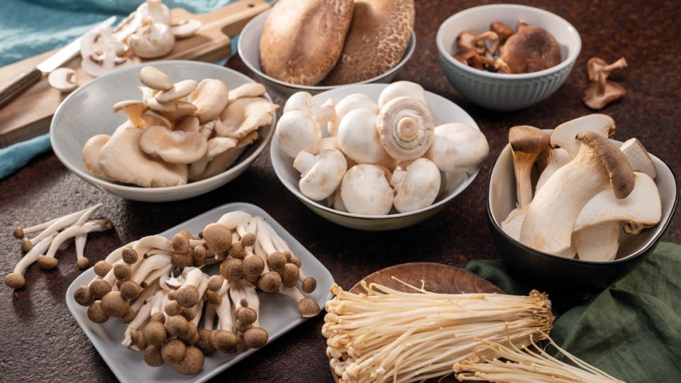 Houbové speciality: Znáte shitake, portobello nebo shimeji?
